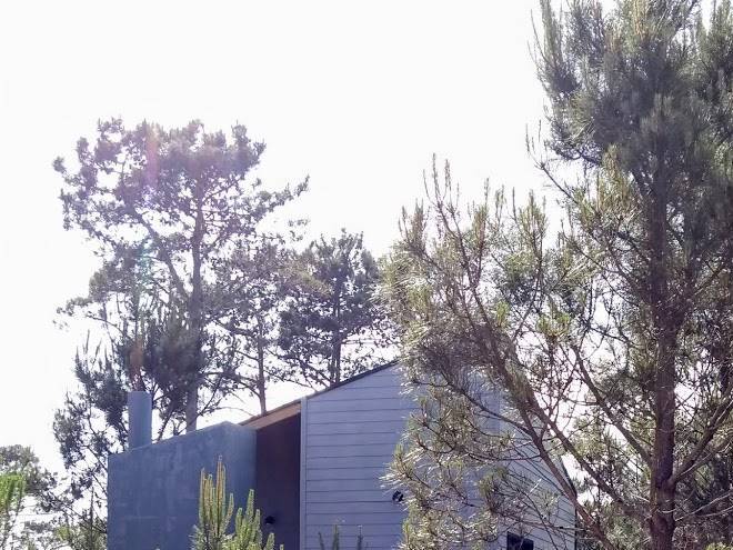 El cabanon del cuervo