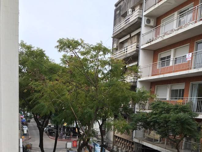 Hotel los cedros