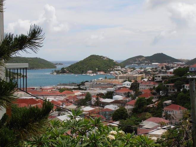 The green iguana hotel