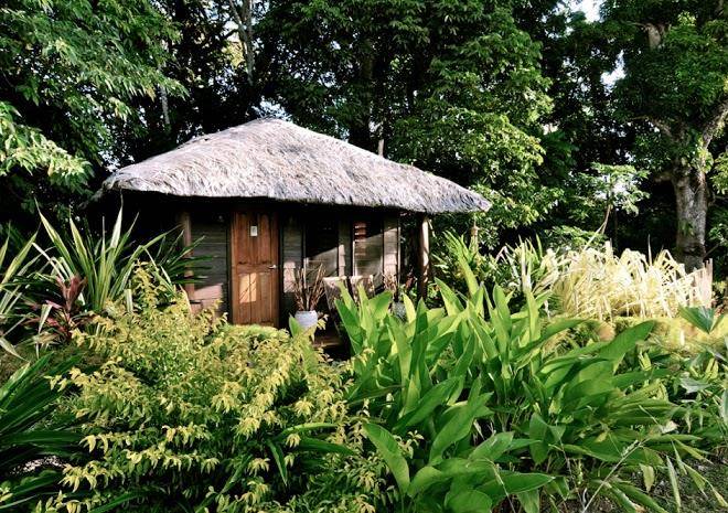 Trees and fishes private retreat