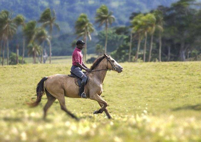 Manmimar nature lodge