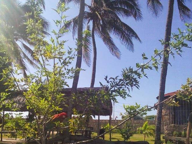 Posada palacio de verano