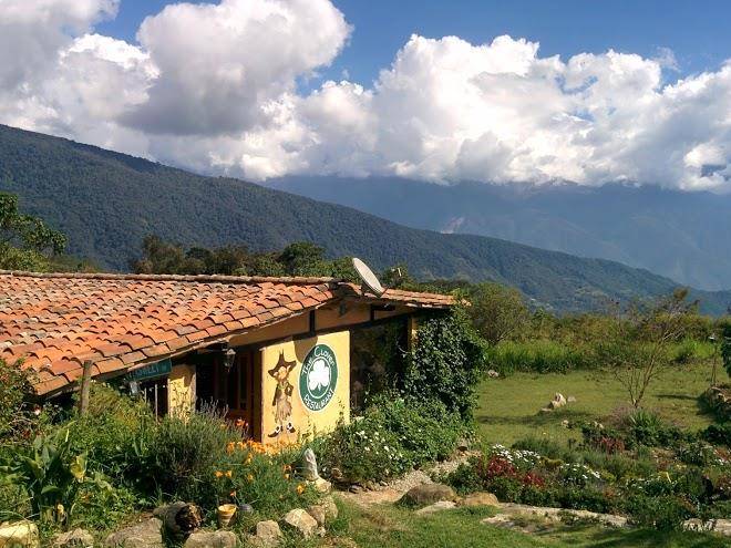 The clover la romanera