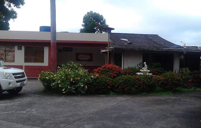 Hotel jardin
