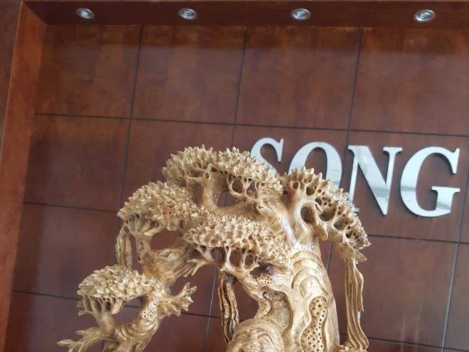 Song hao