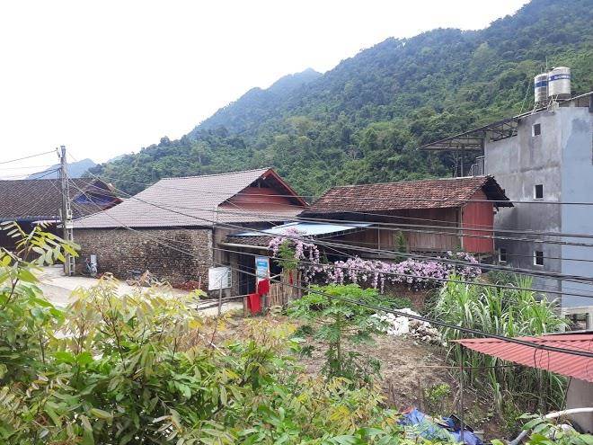 Nhanghingoctrinh