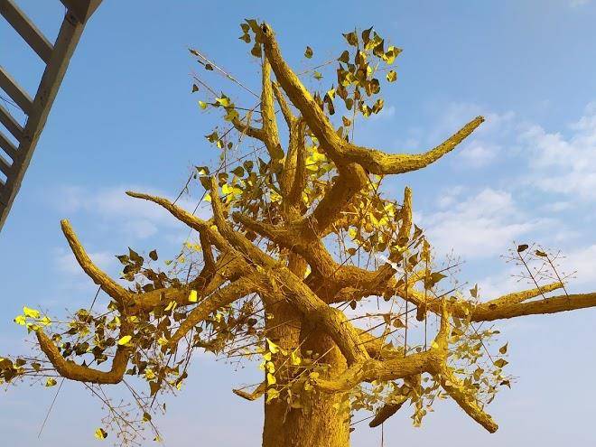 Haengbok Hotel Image