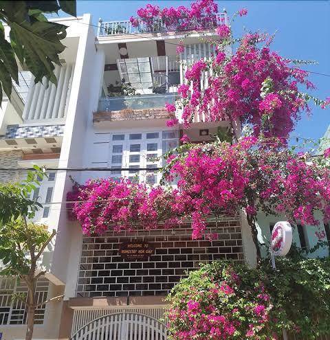 Homestay hoa giy