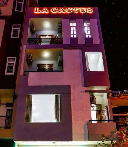 La cactus hotel
