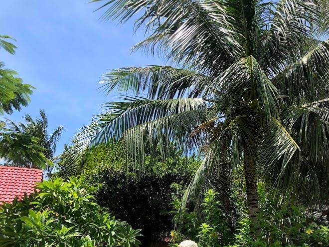 Hoang lan resort