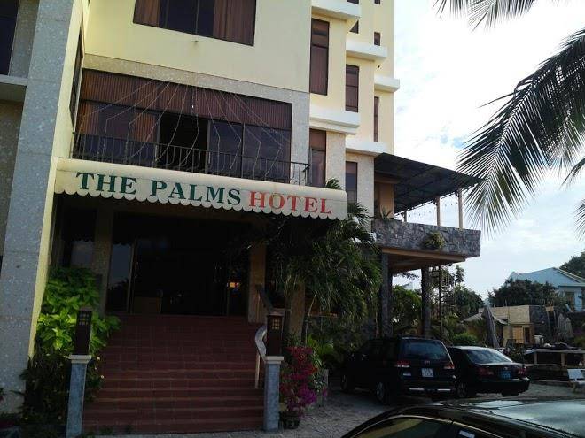 The palms