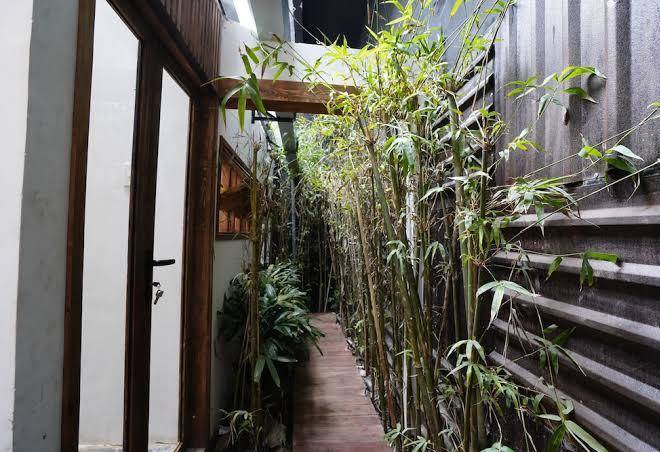 The secret garden
