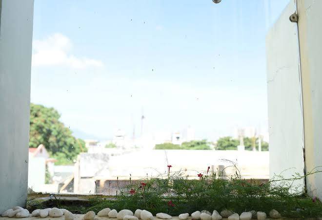 Five homestay da nang