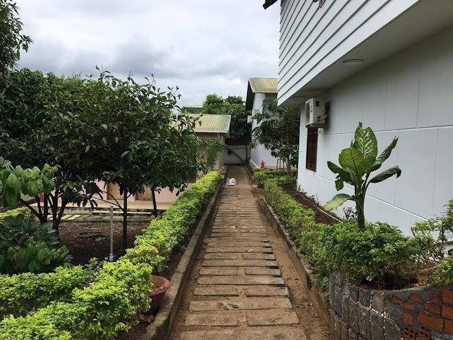 Tho Nguyen Xanh Image