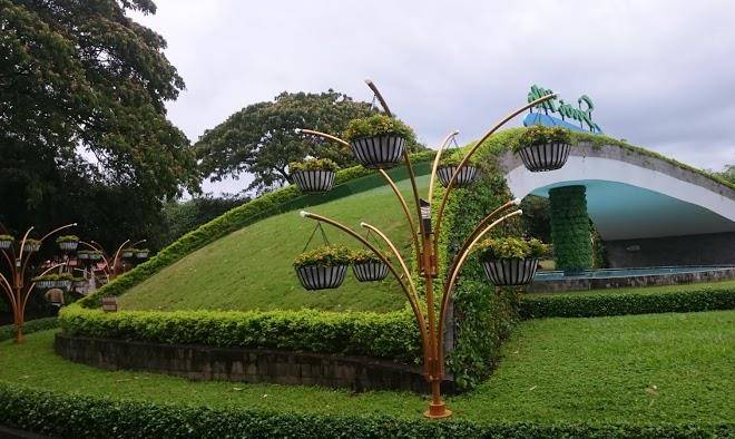 Cong vien sui mo