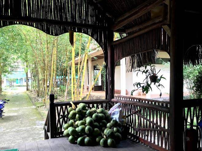 Green cat tien hotel