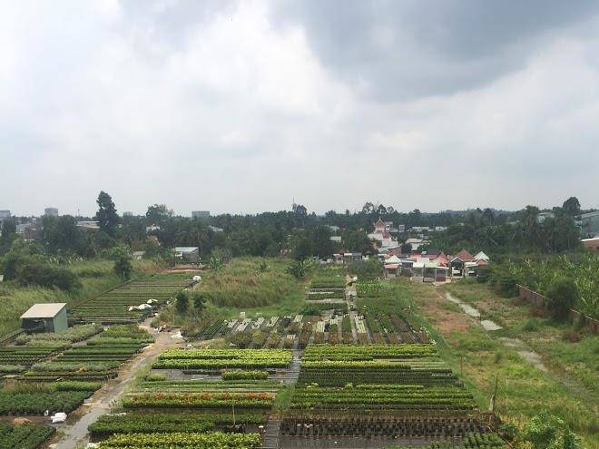 Hotel m anh