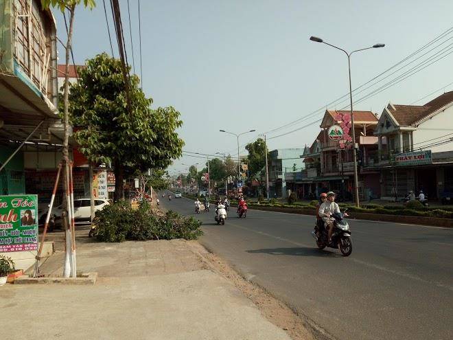 Nha ngh sao mai