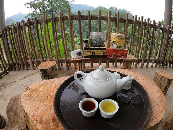 Tre homestay ha giang