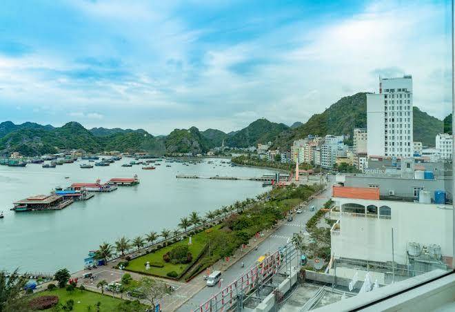 Draco qk3 cat ba hotel