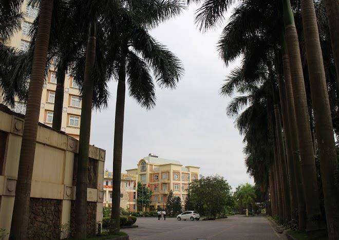 Cong ty tnhh vinh hoang camela hotel & resort