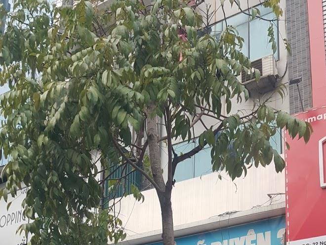 Nha ngh m duyen 3