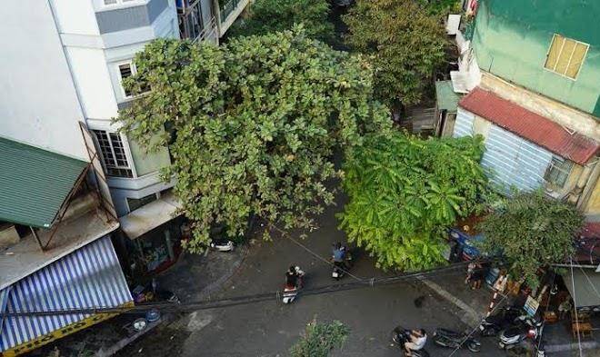 Hanoi rendezvous hotel