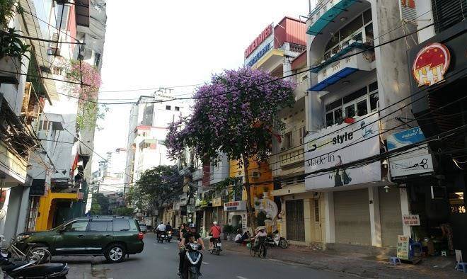 Tryst hotel