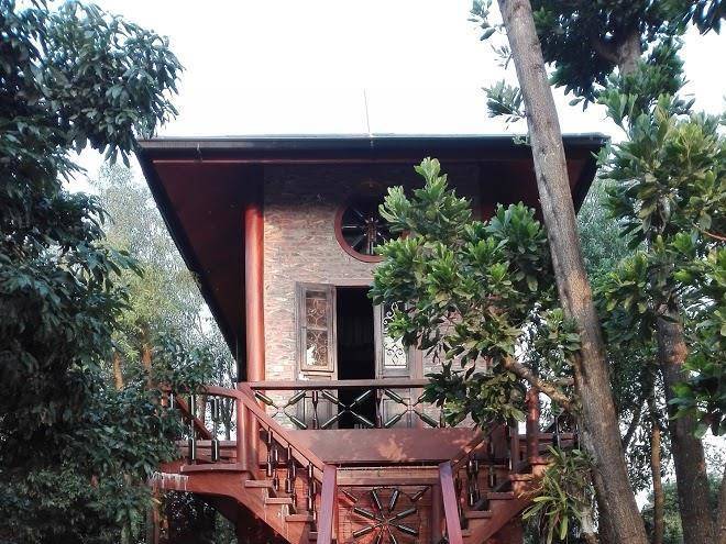 Lai garden hoa lc