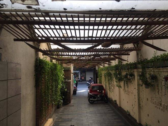 Sen viet hotel