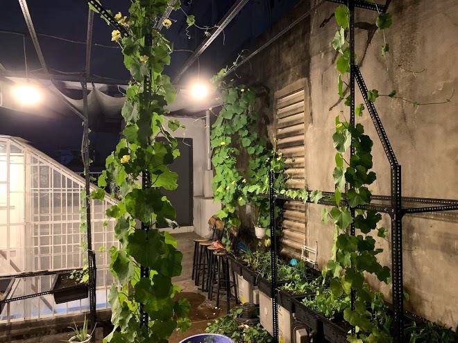 Dlux saigon