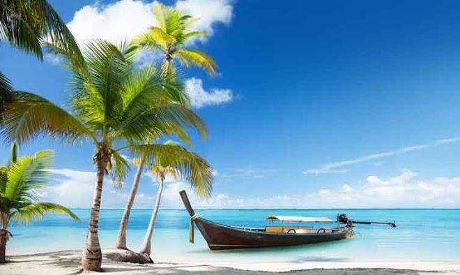 Hotels thanh thao