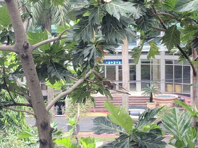 Tan hoang yen hotel