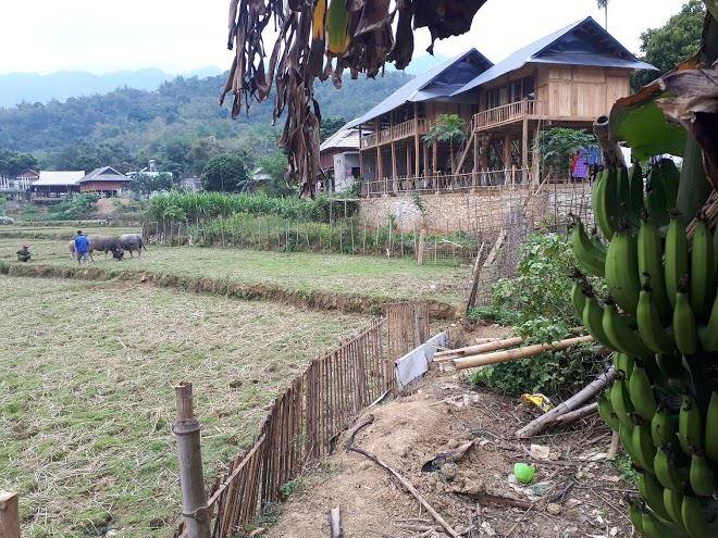 Meadow mai chau homestay