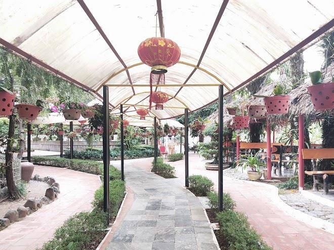 V'star resort