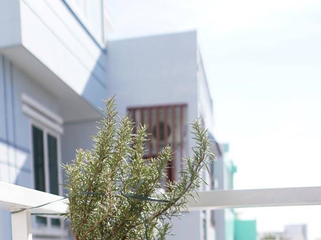 Hotel vinh thai