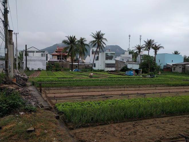 Nha sang tac nha trang
