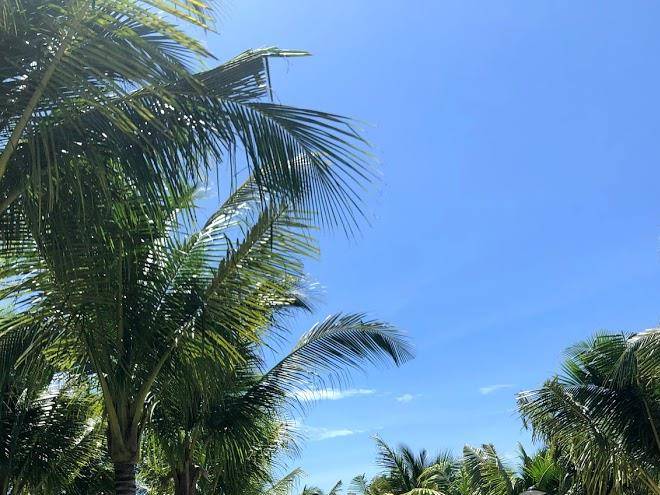 Amon beach resort