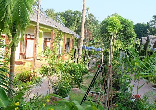Mai binh phuong bungalow