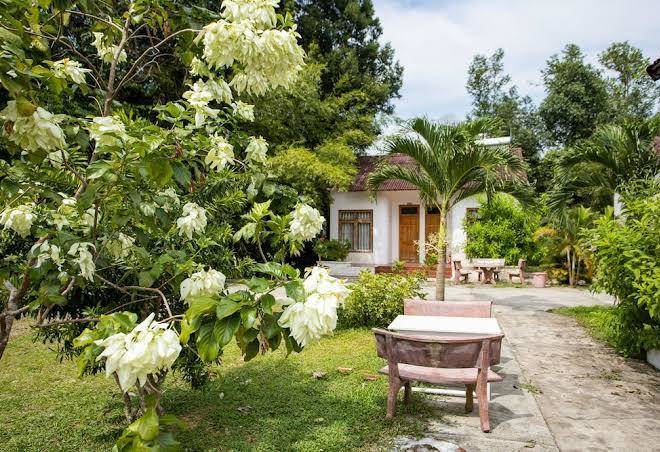 Tang thanh phat resort