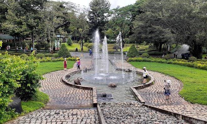 Madagui forest city