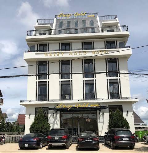 Daisy gold dalat