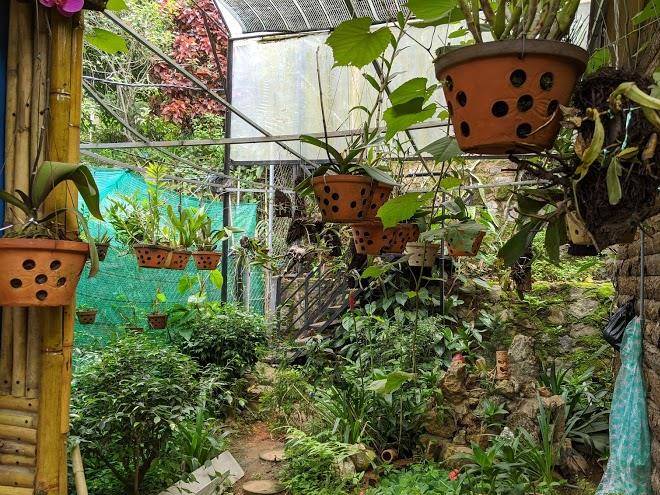 Hoang gia trang the rustic garden