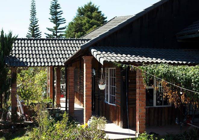 Homestay hoa son