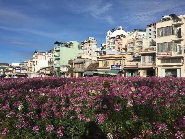 Nng vang hotel