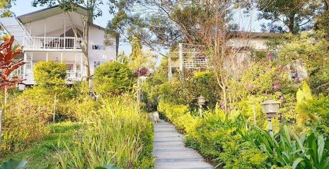 Pine hill homestay dalat
