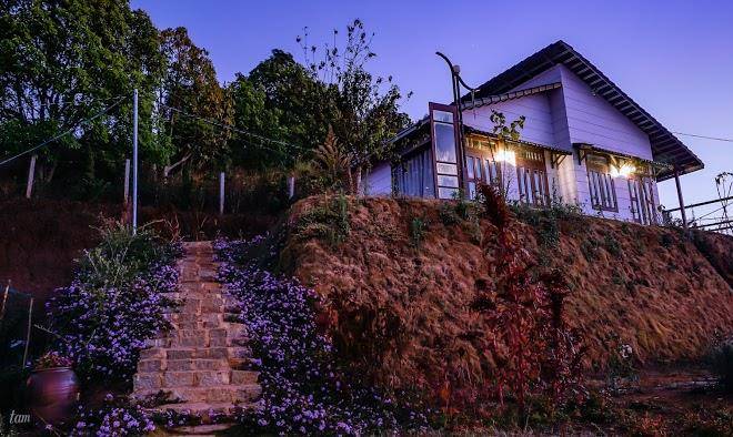 Vun may dalat