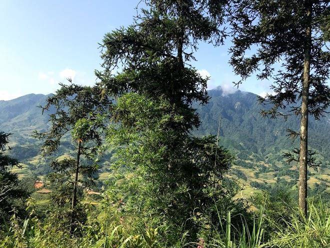 Condotel jade hill sapa