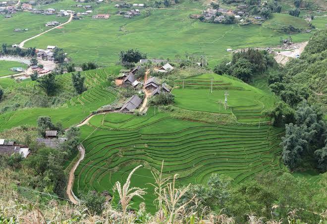 Little view homestay