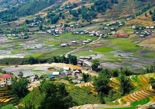 Sapa dragon hotel